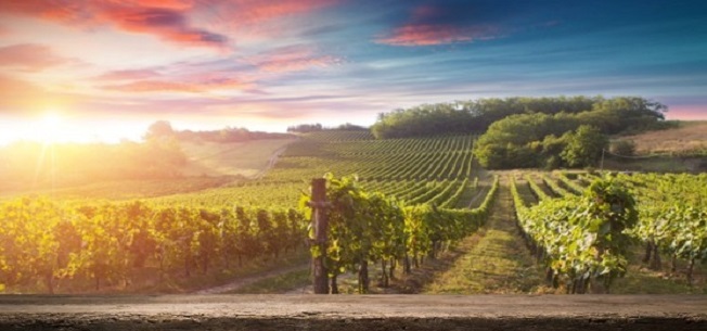 652x305-gabilan-mountains-ava-image.jpg