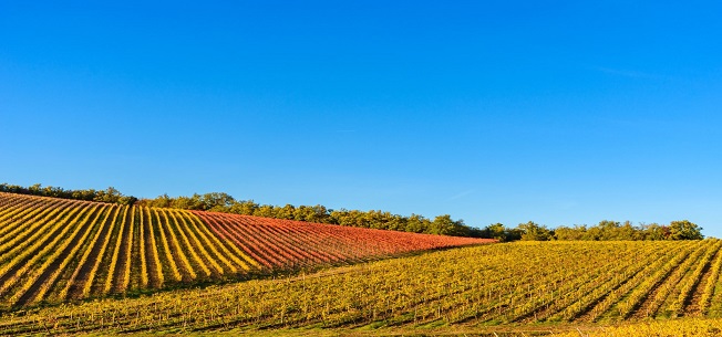 TTB Establishes the Long Valley–Lake County Viticultural Area