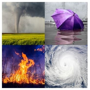 Graphic of Disasters
