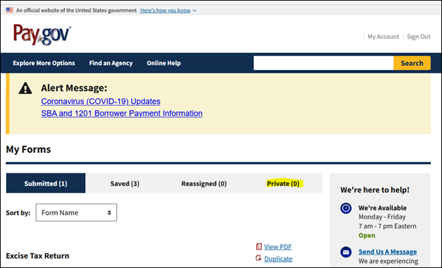 Pay.gov home page view