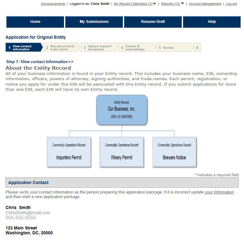 application-for-original-entity-application-preview