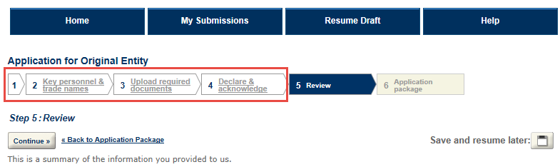 application-for-original-entity-application-preview