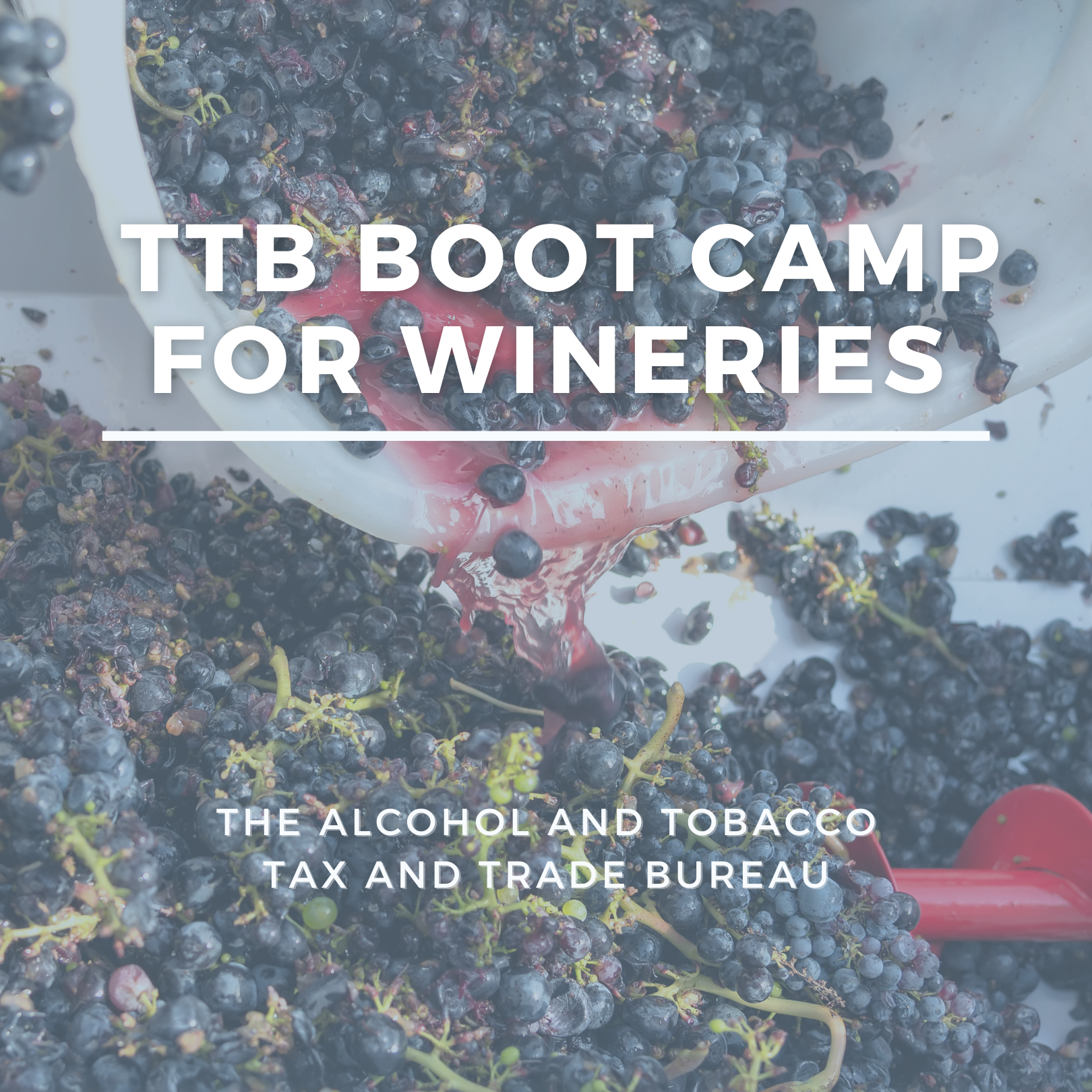 TTB Boot Camp Webinar Records